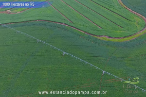 VB 4.00_03_41_13.Quadro054_0a47fbc05bd10925efbaeecb519063283b34d2e2.jpg